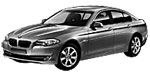 BMW F10 P301C Fault Code